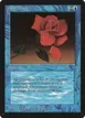 Mana Short #66