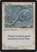 Blue Ward #8