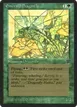 Emerald Dragonfly #184