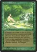 Sylvan Paradise #208