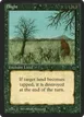 Blight #89