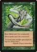 Root Sliver #137