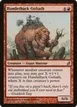 Hamletback Goliath #173