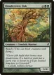 Cloudcrown Oak #201