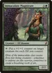 Immaculate Magistrate #219