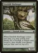 Treefolk Harbinger #239