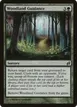 Woodland Guidance #243