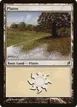 Plains #283