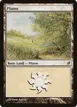 Plains #285