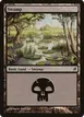 Swamp #293