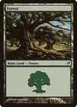 Forest #299