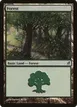 Forest #301