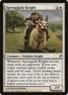 Springjack Knight #41