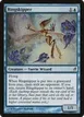 Ringskipper #81