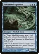 Streambed Aquitects #91