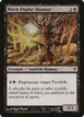 Black Poplar Shaman #99