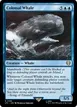Colossal Whale #186