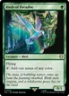 Birds of Paradise #235