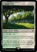 Canopy Vista #298