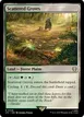 Scattered Groves #328