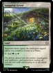 Sunpetal Grove #336