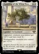 Flowering of the White Tree #15