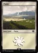 Plains #262