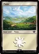 Plains #263