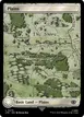 Plains #273
