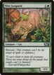 Mist Leopard #193