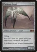 Platinum Angel #218