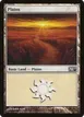 Plains #231