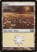 Plains #233