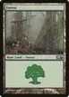 Forest #246