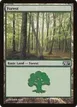 Forest #247