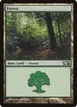 Forest #248