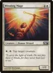 Blinding Mage #5