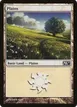Plains #231
