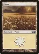 Plains #233