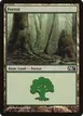 Forest #246