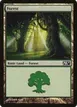 Forest #247