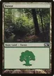 Forest #248