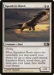 Squadron Hawk #33