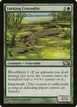 Lurking Crocodile #184