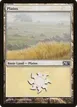 Plains #231