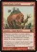 Hamletback Goliath #136