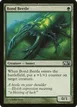 Bond Beetle #161
