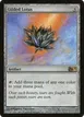 Gilded Lotus #206