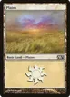 Plains #232
