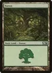 Forest #246